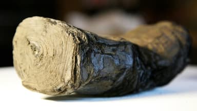 FOBO: The Fear of Being Obsoleted